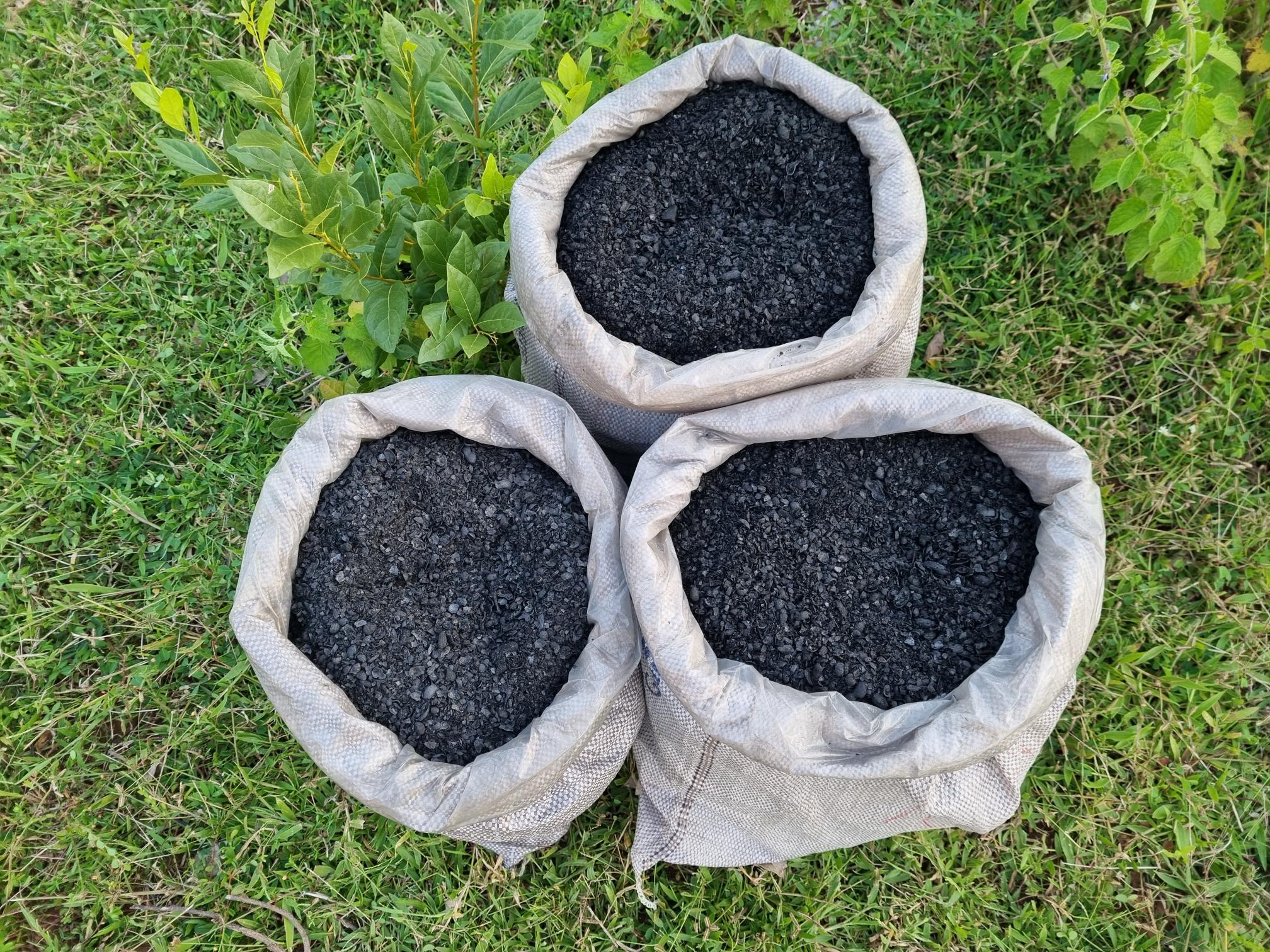 Brazilian Kiln Technology